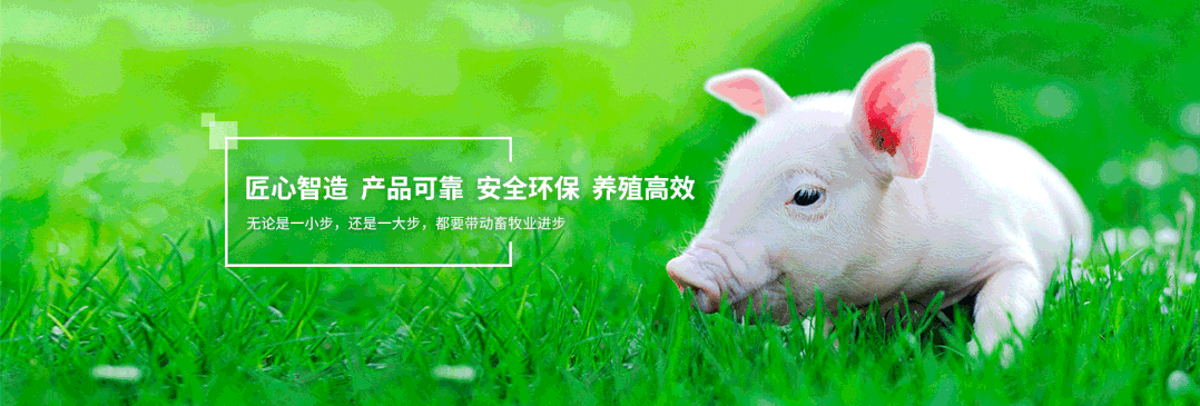 1 (1).gif 1 (1).gif